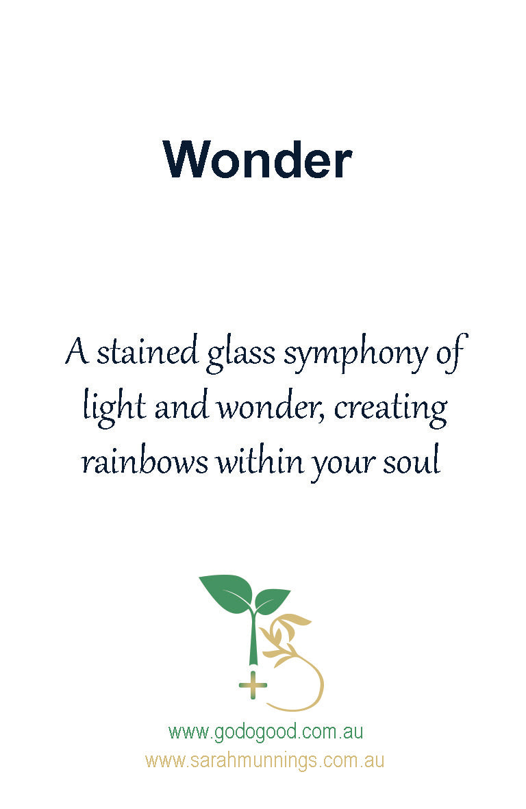 Wonder Earrings