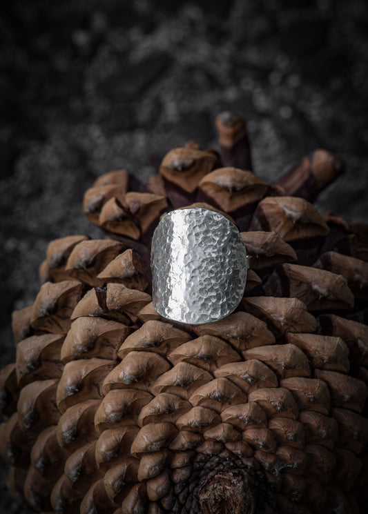 Silver shield ring